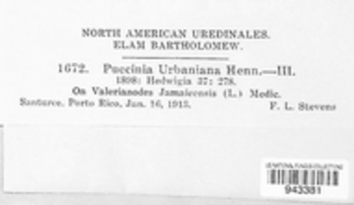 Puccinia urbaniana image